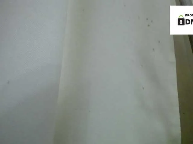 Irishka14 from BongaCams