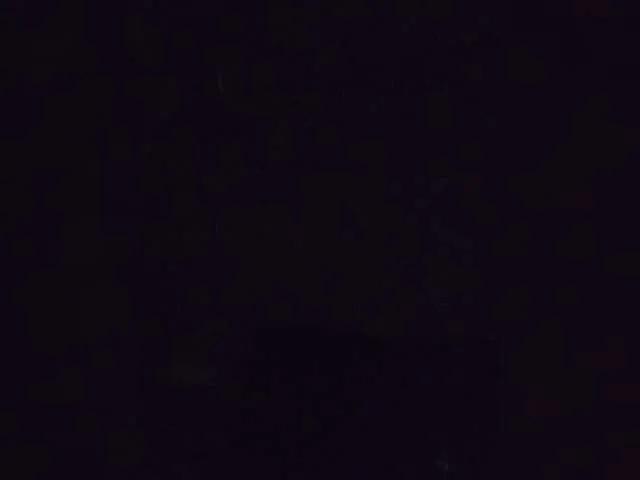 KittyKary from BongaCams