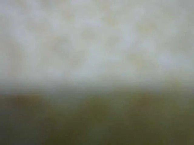 Queenfey from BongaCams