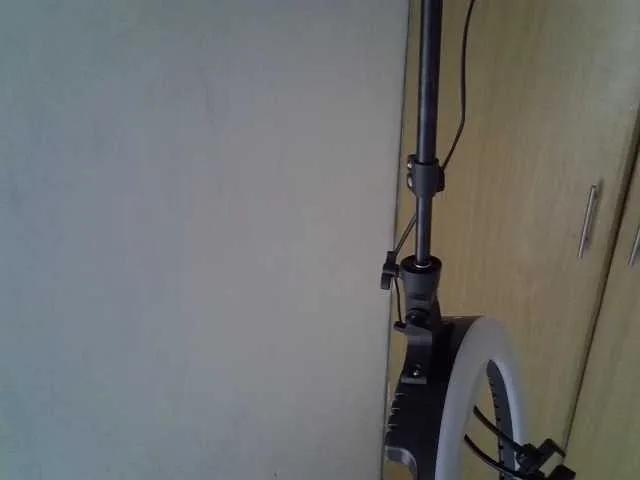 SweetRose from BongaCams