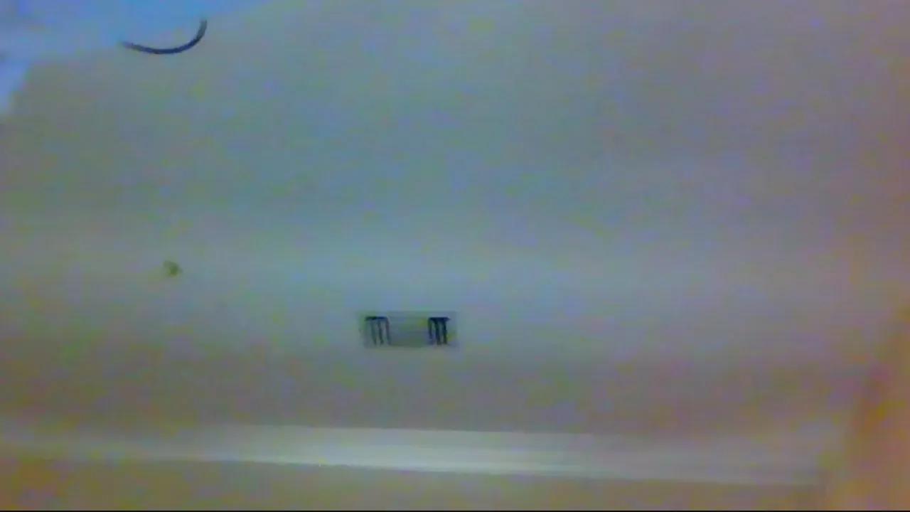 Allnighter4ever from Cam4