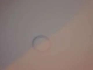 Nina-rose from CamSoda