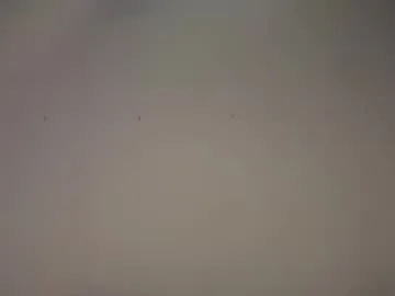 Biff_beaverhausen from Chaturbate