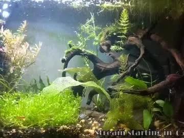 Booker_baxton from Chaturbate