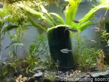 Booker_baxton from Chaturbate