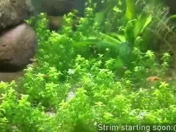 Booker_baxton from Chaturbate