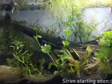 Booker_baxton from Chaturbate