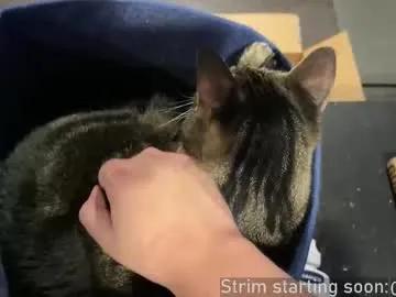 Booker_baxton from Chaturbate