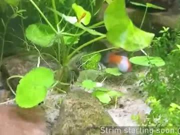 Booker_baxton from Chaturbate