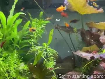 Booker_baxton from Chaturbate