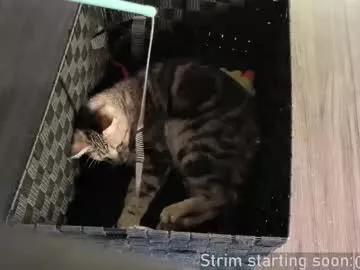 Booker_baxton from Chaturbate