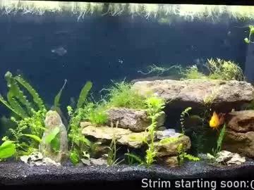 Booker_baxton from Chaturbate