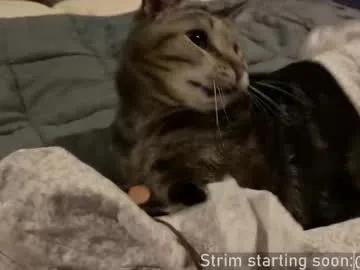 Booker_baxton from Chaturbate