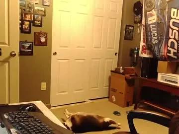 Indianapapa from Chaturbate