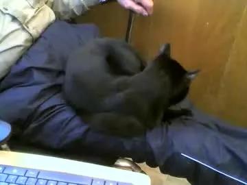 Muller520 from Chaturbate