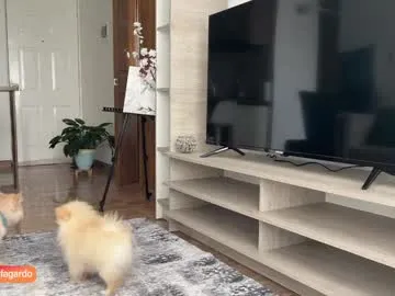 Sweet_littleee from Chaturbate