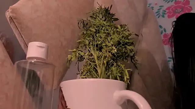 AnddieBaker from StripChat