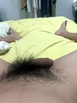 Dahai147258 from StripChat