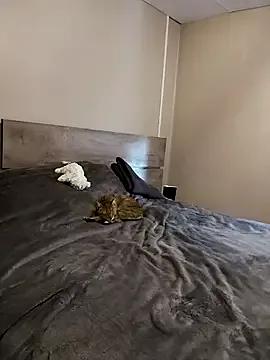 Emma_pleasur from StripChat
