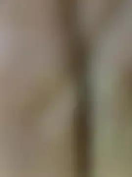 Jully-jully from StripChat