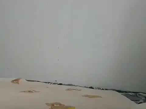 Willbiee from StripChat