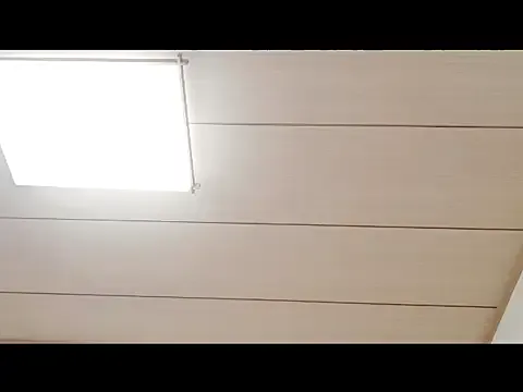 XxArisaxx from StripChat